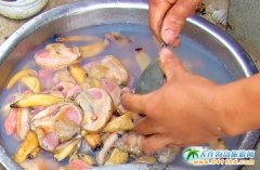 ؔ(c��i)��u��ɫ��ʳ-���Z��