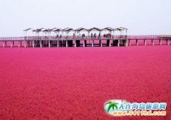 �P�\�t����,������Ȫ