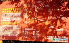 大連到張家界旅游圖片—袁家界景區(qū)