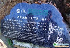 張家界旅游景點-天下第一橋圖片