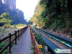 張家界旅游景點圖片-十里畫廊圖片