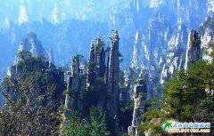 美麗的張家界奇峰峻挺