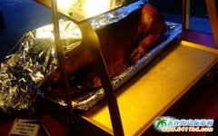 塞班島旅游美食推薦-烤乳豬