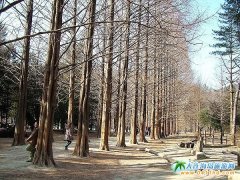 韓國濟州島旅游線路2:首爾濟州江原道四飛五日游3320元