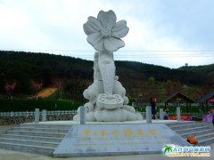 大連旅順櫻花圖片_旅順203櫻花園