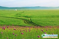   ���B����(n��i)�ɲ�ԭ���L�r(sh��)�g   ��(n��i)�ɲ�ԭ���c(di��n)����   ���B��߅��ԭ��(n��i)