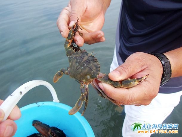 十一財神島趕海