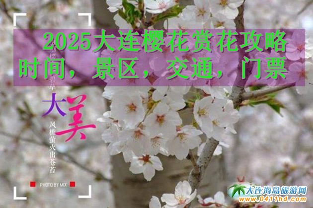 2025大連櫻花賞花攻略